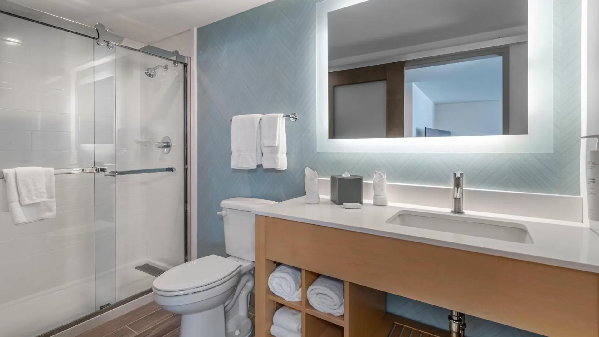 Hilton Garden Inn Los Angeles Airport 3*,  Verenigde Staten